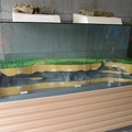 Manjanggul Cave Cutaway